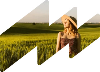 Distribuição de Energia Renovavel ()